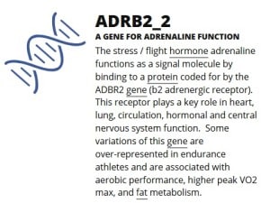 ADRB2_2