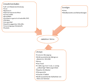 Gründe für oxidativen Stress