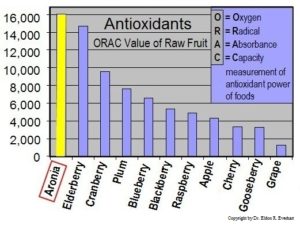 Aronia die höchste ORAC