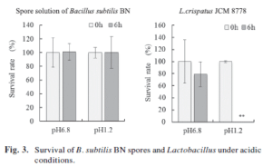 Bacillus Subtilis Magensäure