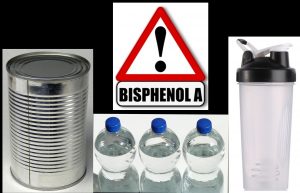 Bisphenol und Testosteron