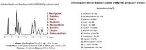 Bacillus Subtilis ändert die Darmflora