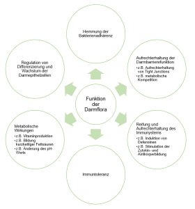 Aufgaben unserer Darmflora
