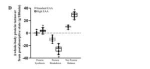 EAA und Gesamtproteinbalance