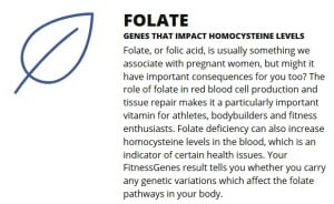 Folate