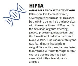 HIF1A