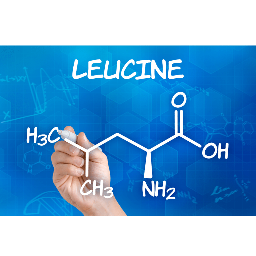 Leucin