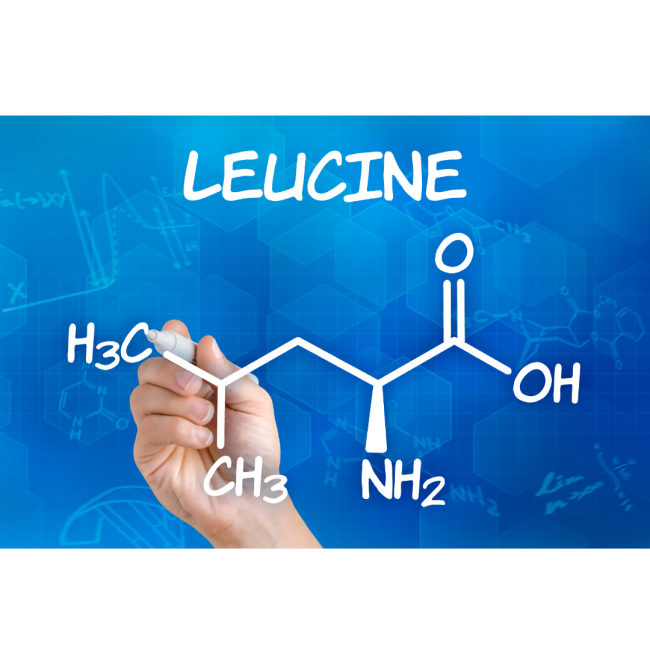 Leucin