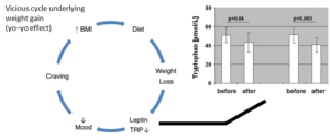 Sarstellung_Tryptophan