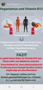 Game Changers Theorie von Vitamin B12