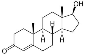 Testosteron Molekül