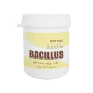 Bacillus Subtilus DSM21097 für eine gesunde Verdauung