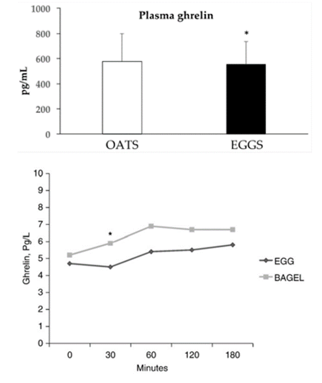 Eiprotein