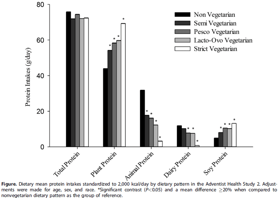 Unterschiede Aufnahme Protein Ernährungsformen Vegan Vegetarisch Omnivor