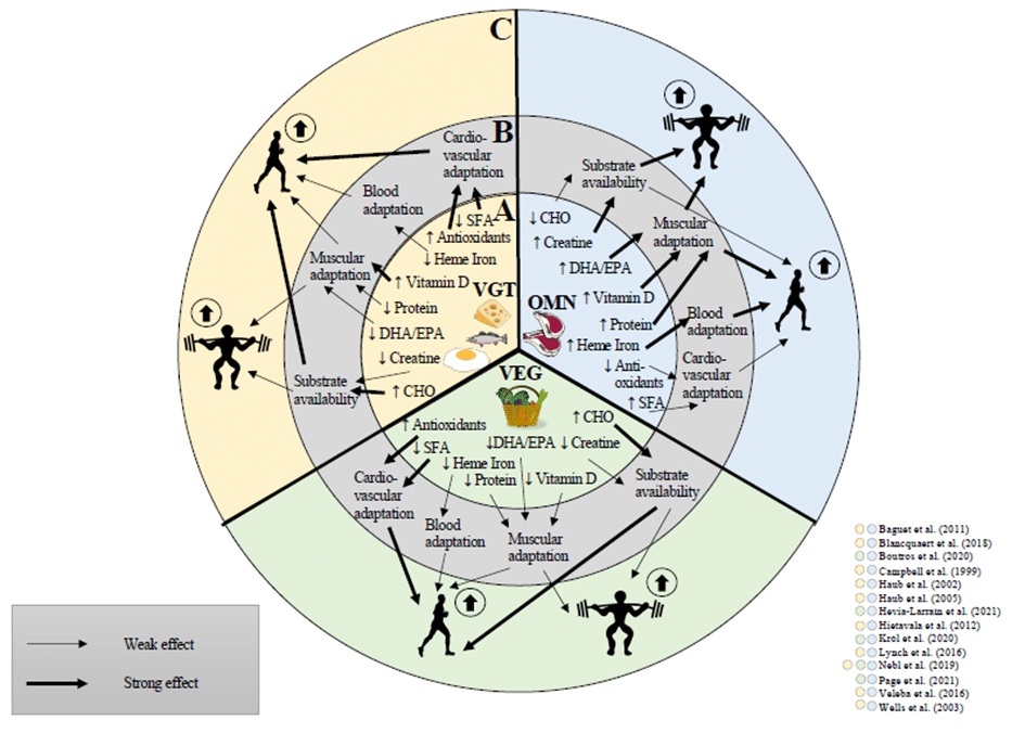 Effekte Performance unterschiedliche Ernährungsformen